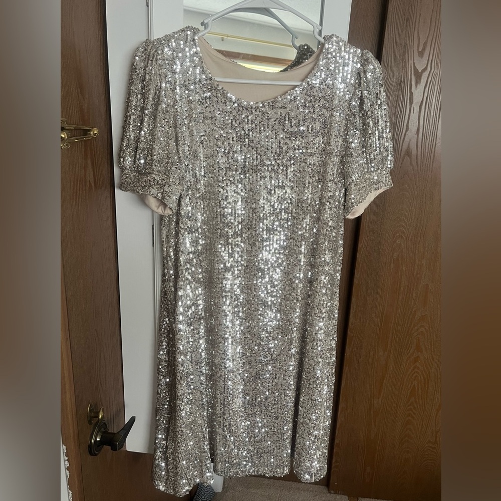 Cable & Gauge Shimmering Silver Sequin Dress